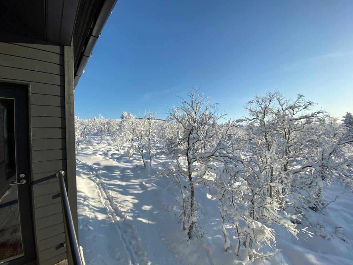 Виллы Villas Karhunpesä Саариселькя-35